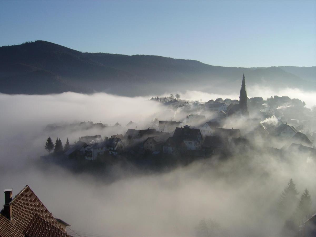 Apartmán Am Keschtewaeldele **** Forbach Exteriér fotografie