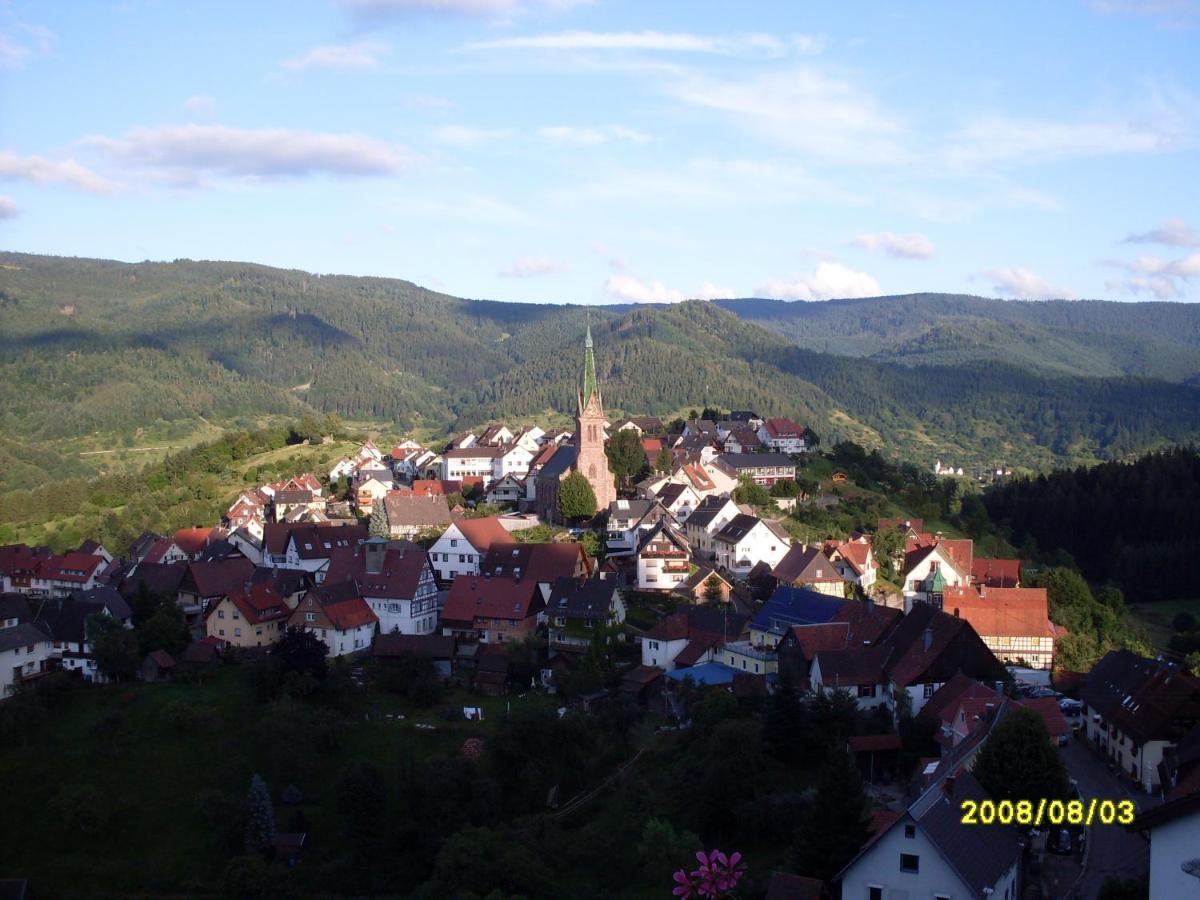 Apartmán Am Keschtewaeldele **** Forbach Exteriér fotografie