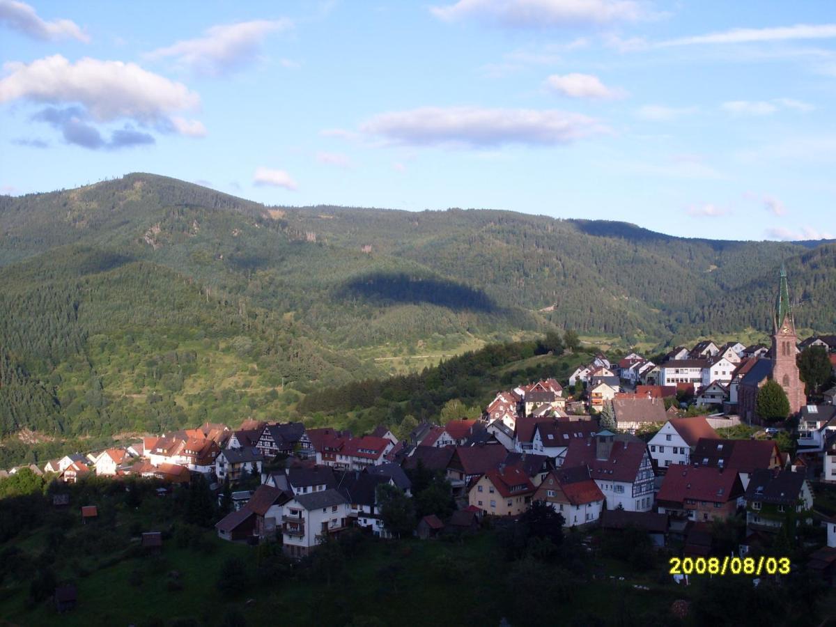 Apartmán Am Keschtewaeldele **** Forbach Exteriér fotografie